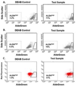 MilliporeSigma™ AldeGreen™ ALDH Detection Assay
